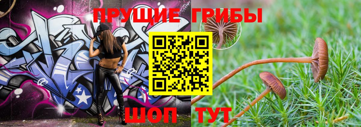 Ликино-Дулёво  Галлюциногенные грибы Psilocybe  Вход с VPN 