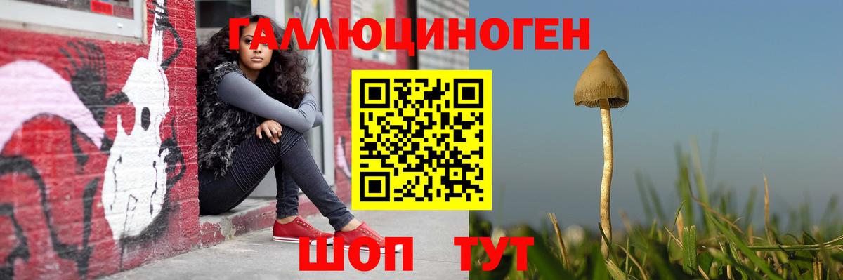 Галлюциногенные грибы мицелий Ликино-Дулёво
